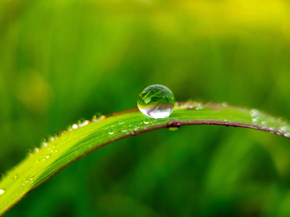 Macro photo of a water drop on a blade of grass